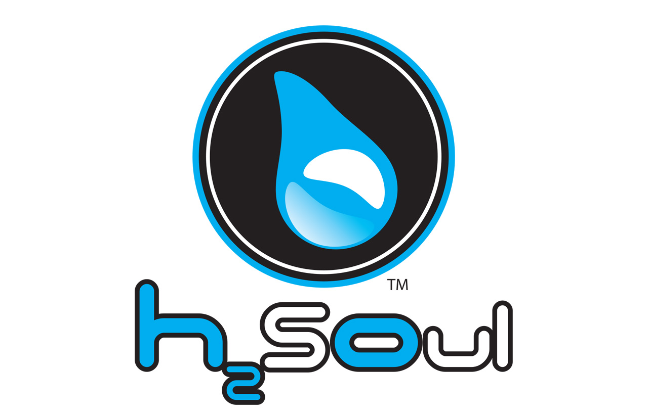 Web-Portfolio-collateral-h2soul Web-Portfolio-collateral-h2soul
